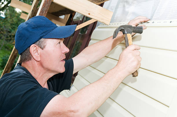 Affordable Siding Repair and Maintenance Services in Ripley, WV