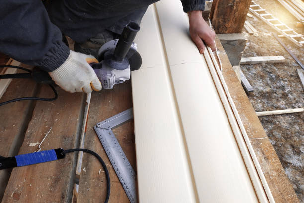 Best Wood Siding Installation  in Ripley, WV