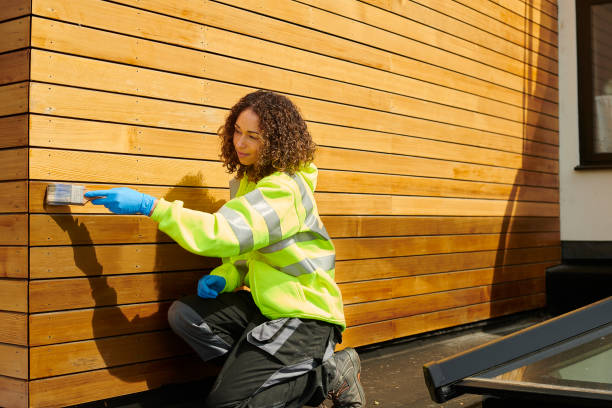 Best Custom Siding Design  in Ripley, WV